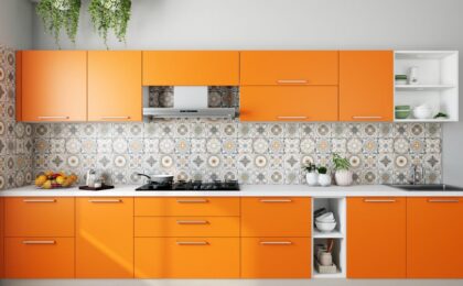 German kitchen cabinets