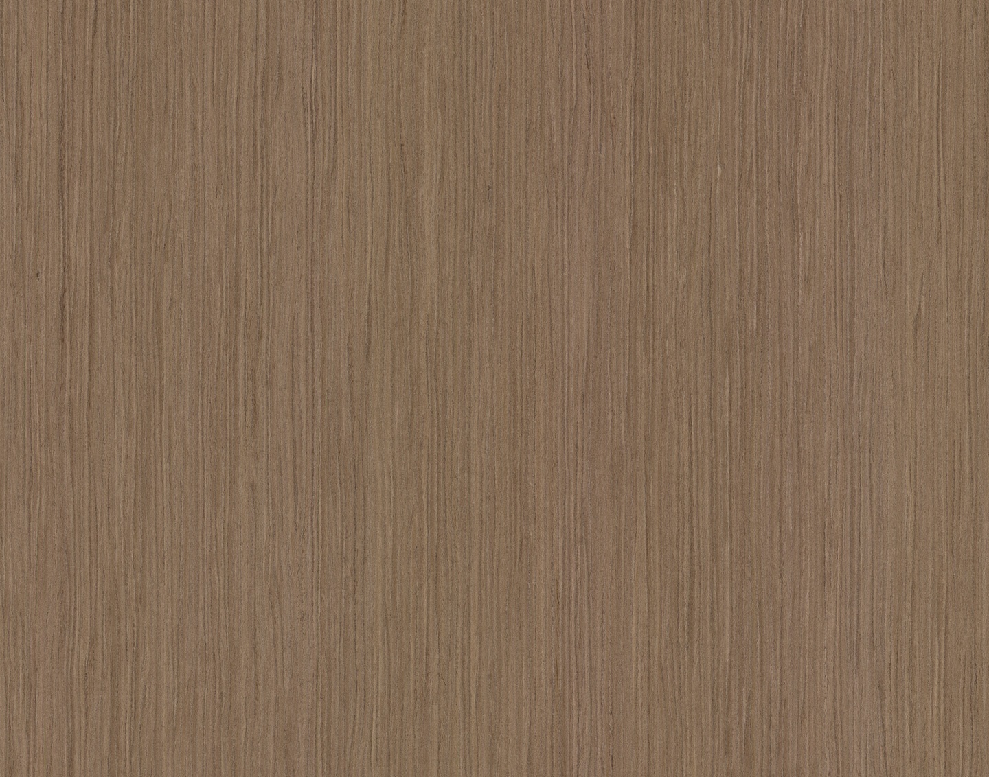 10.16 American Walnut