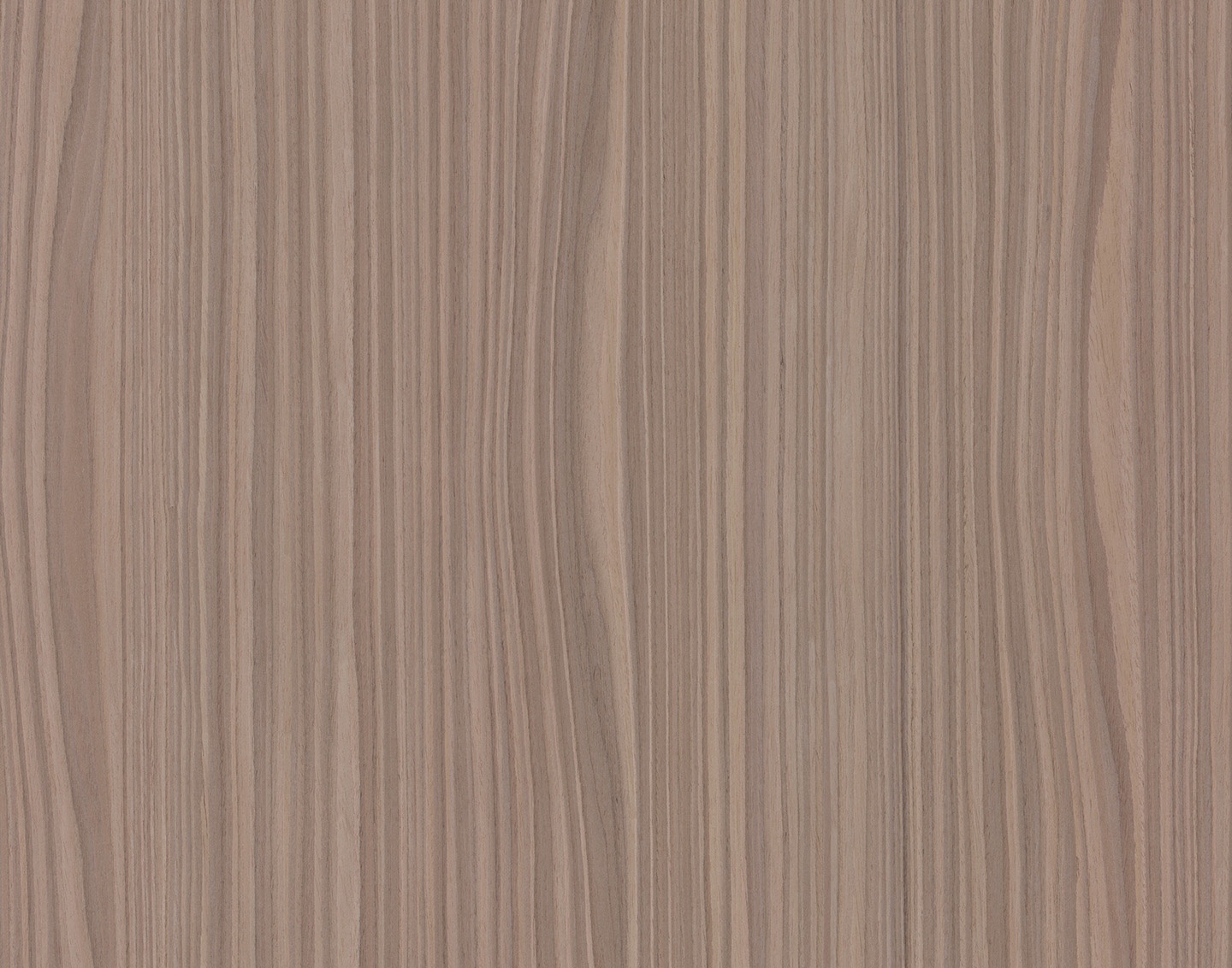 10.19 Wavy American Walnut