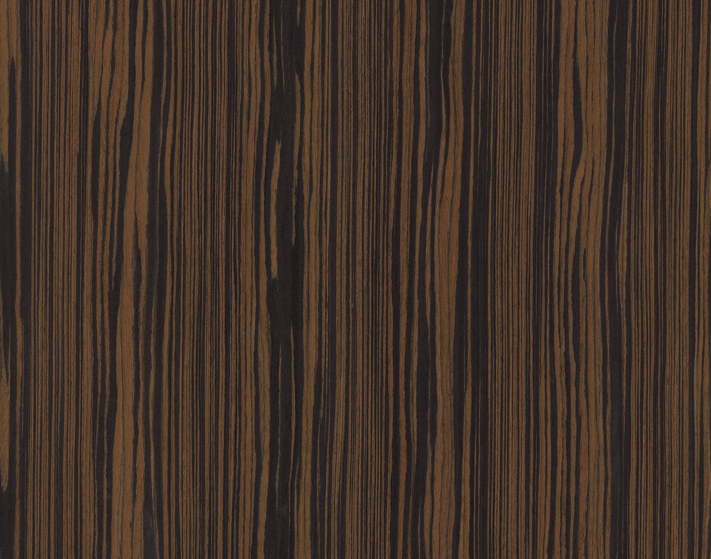 10.41 Makassar Ebony