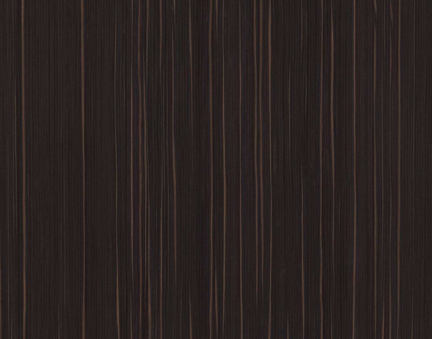 10.42 Ammara Ebony