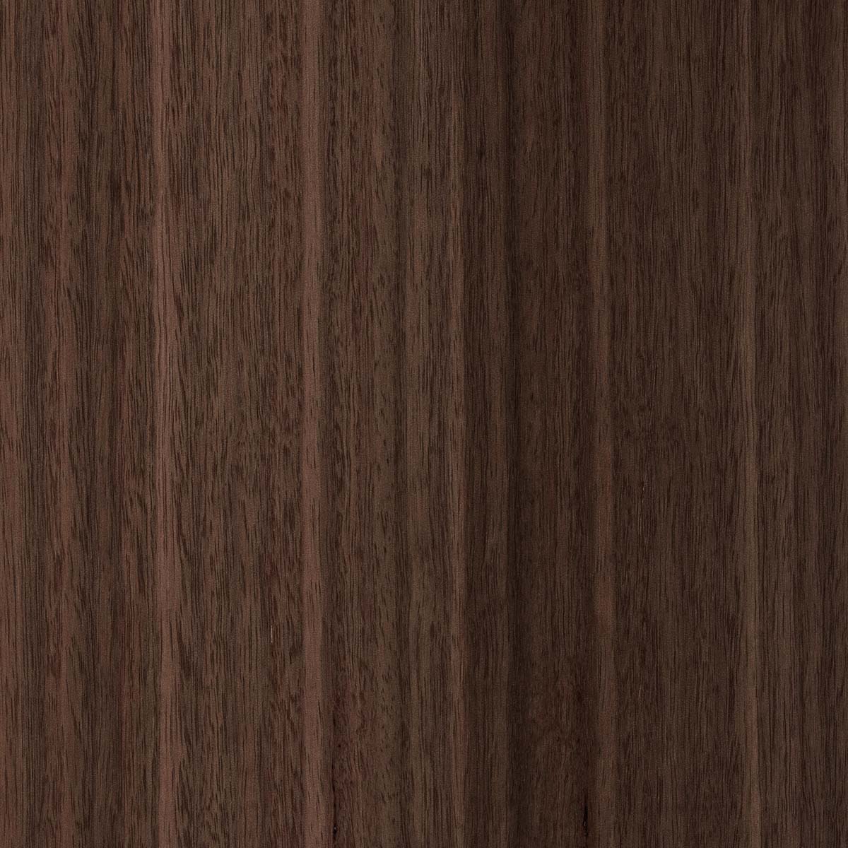 M + L Smoked Eucalyptus