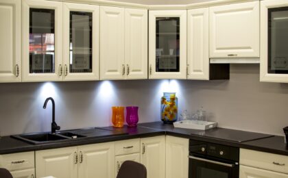 Modern Kitchen Cabinets