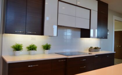 black modern kitchen cabinets