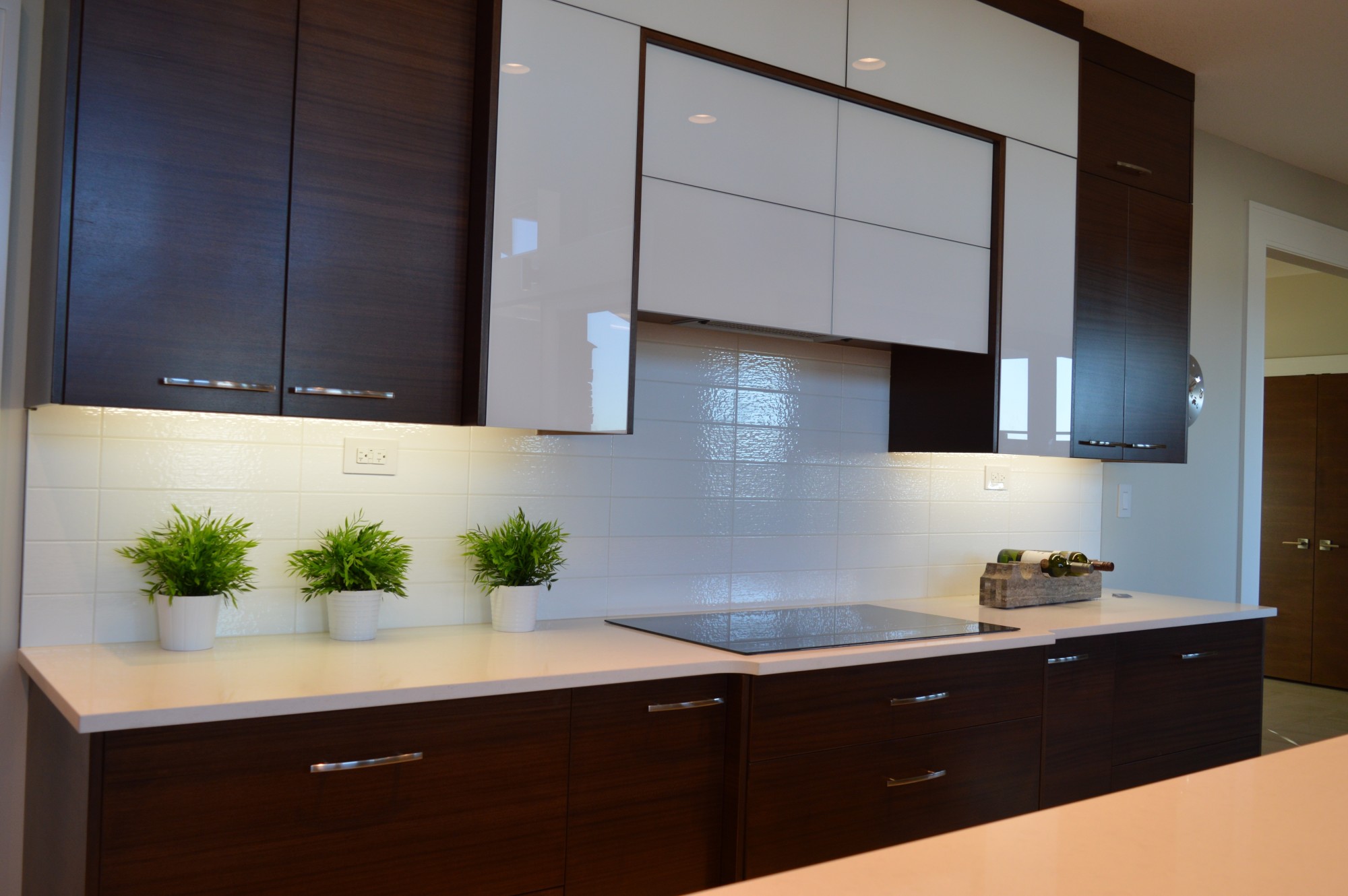 The Pros and Cons of Choosing Black Modern Kitchen Cabinets