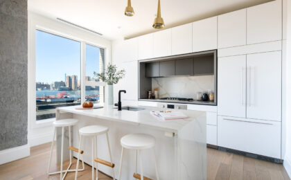 Gaggenau steam oven